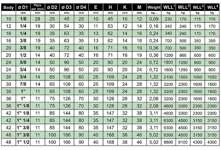 2018 - 2CA Lifting Eye Nuts DIN 582 GAS