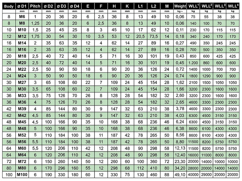 2018 - 1 Lifting Eye Bolts DIN 580 2018